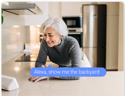 Professional security camera installation and smart home integration services